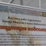 Презентация выставки «Танцующие подсолнухи» обложка - НГИАМ